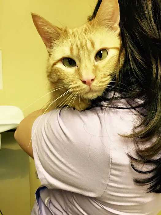 Country Valley Veterinary Clinic 4