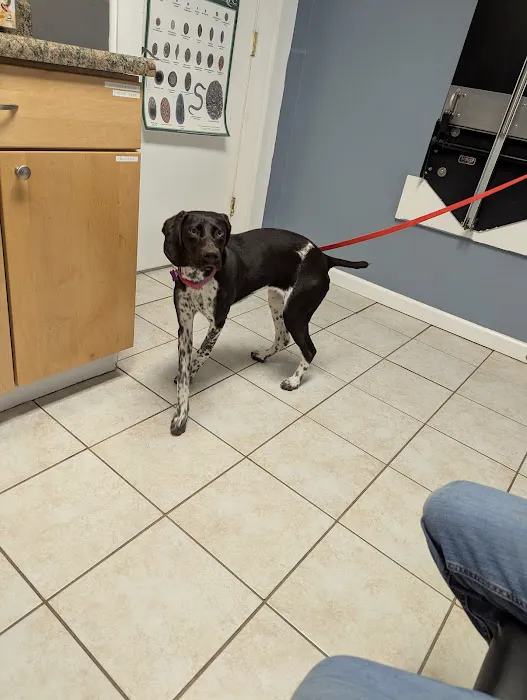 Country Valley Veterinary Clinic 10