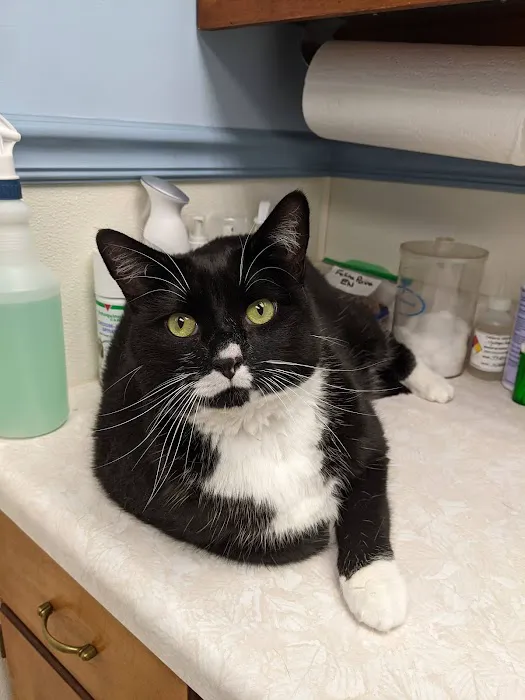 Howes Cave Animal Hospital 5