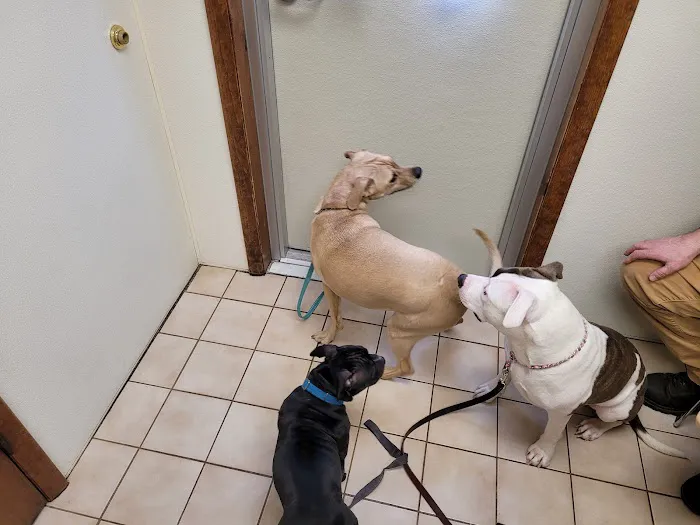 Howes Cave Animal Hospital 2
