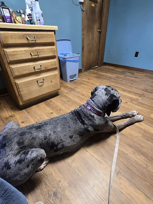 Sacandaga Veterinary Clinic 5