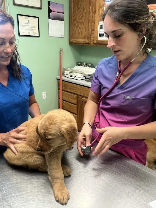Northampton Animal Hospital 6