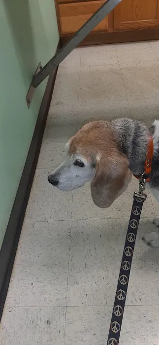 Northampton Animal Hospital 4