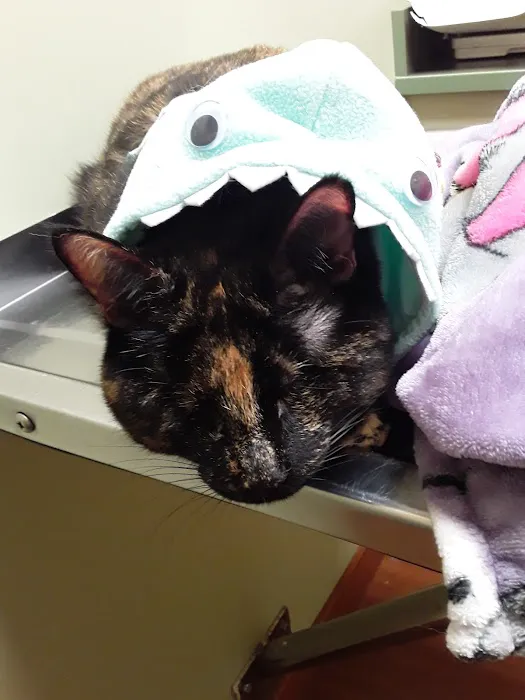 Little Friends Veterinary Services 9