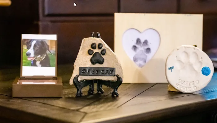 Stillwaters Veterinary Care- End of Life Services 3