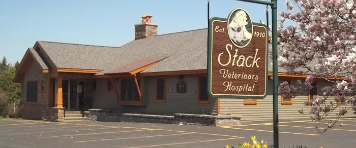Stack Veterinary Hospital 6