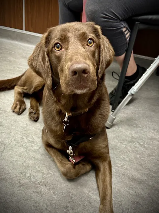 Liverpool Village Animal Wellness 1