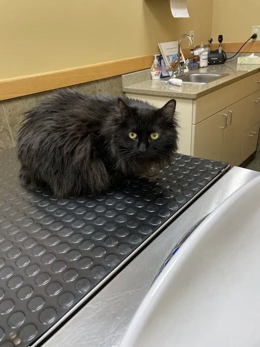Liverpool Village Animal Hospital 2