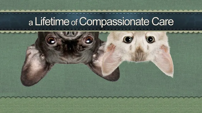 South Shore Veterinary Hospital 5