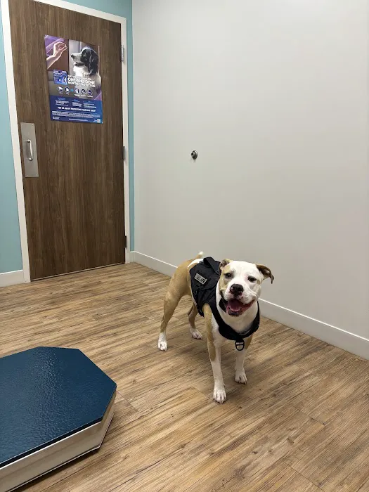Highland Animal Hospital 1