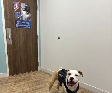 Highland Animal Hospital