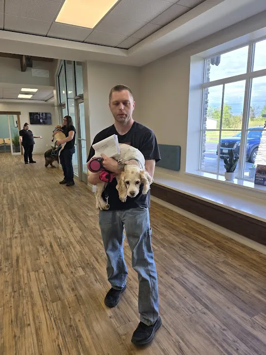 Highland Animal Hospital 10