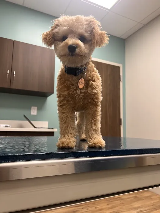 Highland Animal Hospital 2