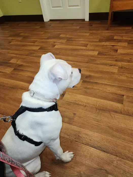 Cumberland Animal Hospital 7