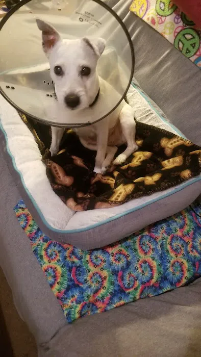 Cumberland Animal Hospital 5