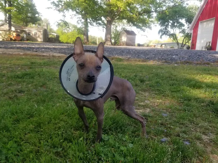 Cumberland Animal Hospital 10