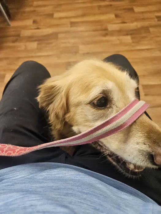 Cumberland Animal Hospital 6