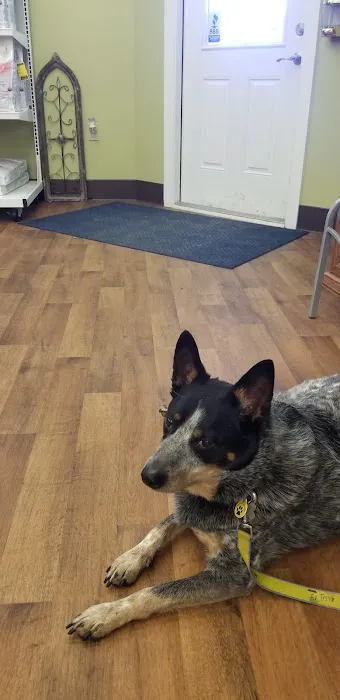 Cumberland Animal Hospital 3