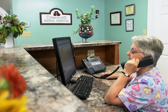 Cumberland Animal Hospital 8