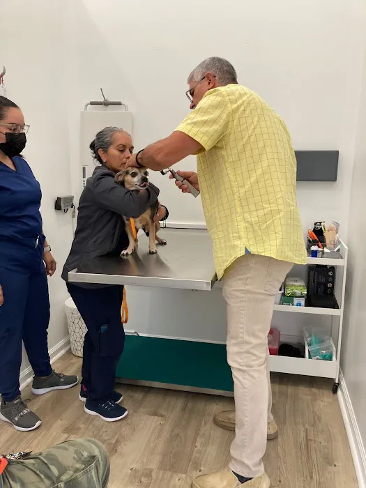 Country Family Pet Clinic 8