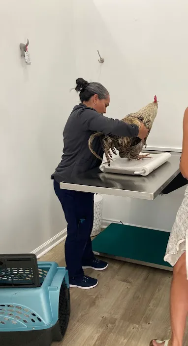 Country Family Pet Clinic 7
