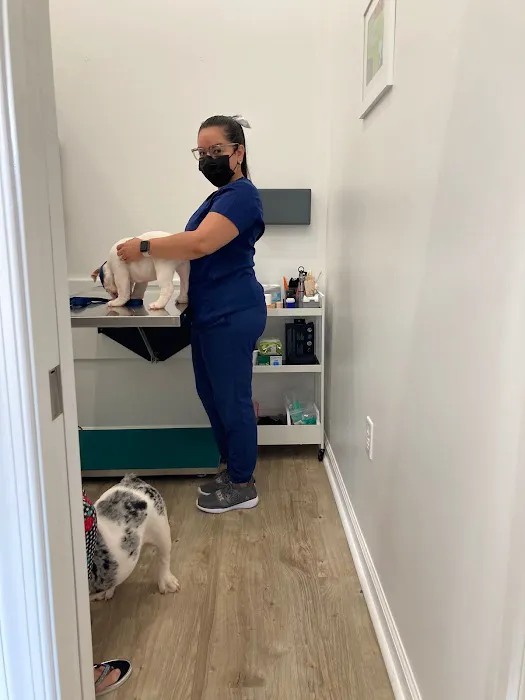 Country Family Pet Clinic 10