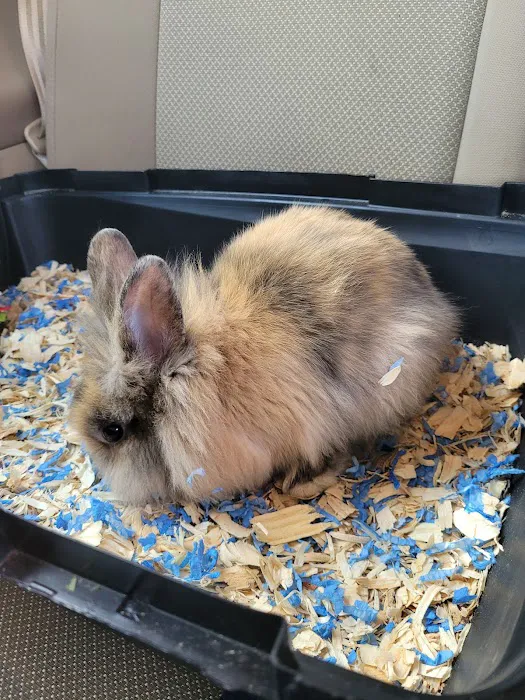 Country Family Pet Clinic 5