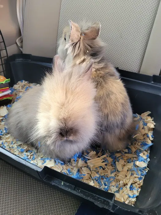 Country Family Pet Clinic 1