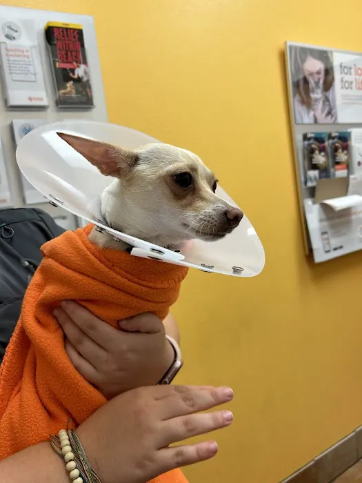 Banfield Pet Hospital 9