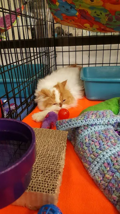 Banfield Pet Hospital 2
