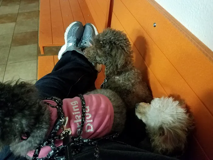 Banfield Pet Hospital 3