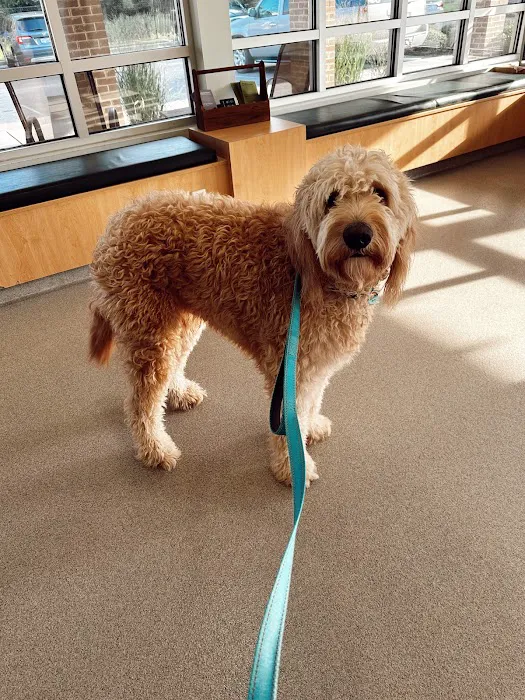 Forest Hills Veterinary Hospital 3