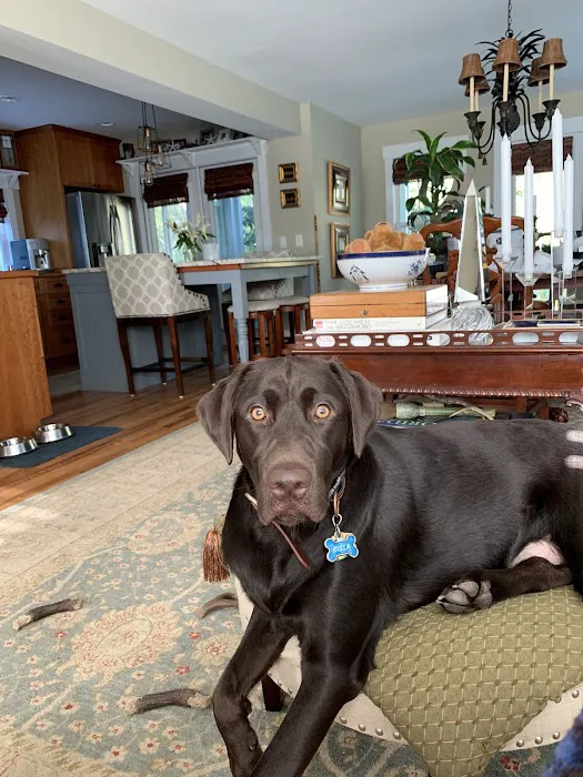 Forest Hills Veterinary Hospital 8