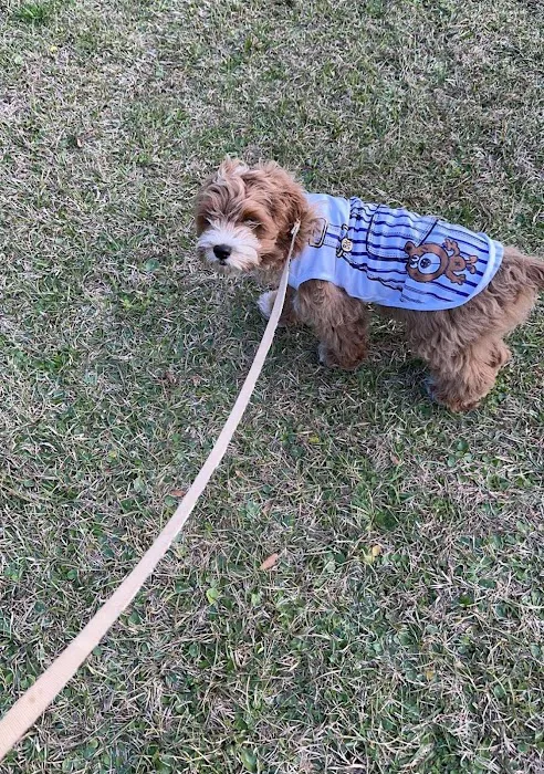 Wilmington Animal Healthcare Veterinary Hospital 9