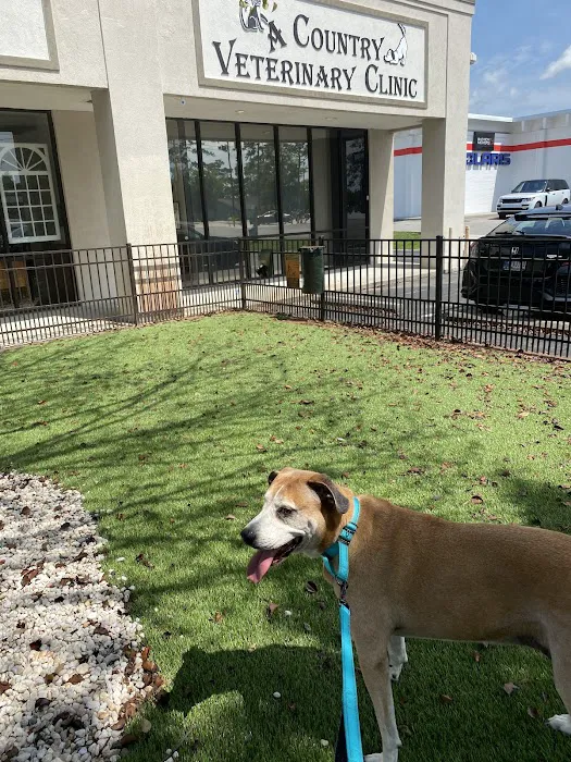 A Country Veterinary Clinic 10