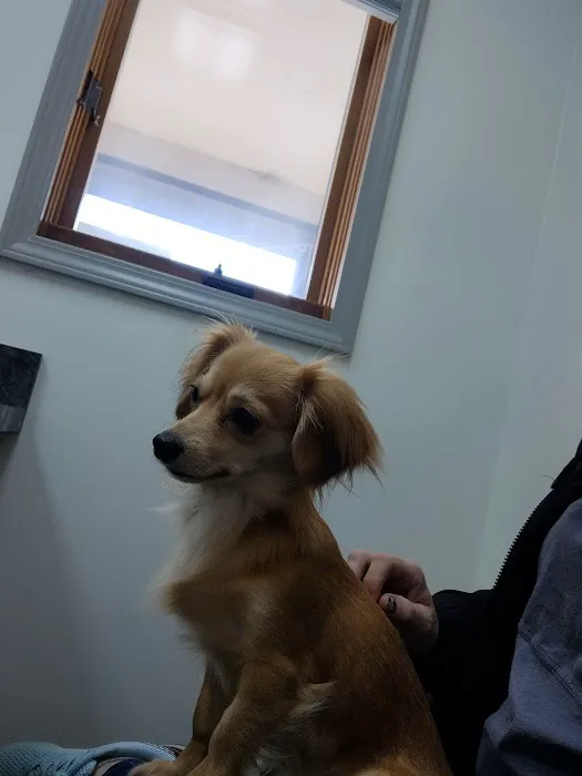 Village Veterinary Hospital 8