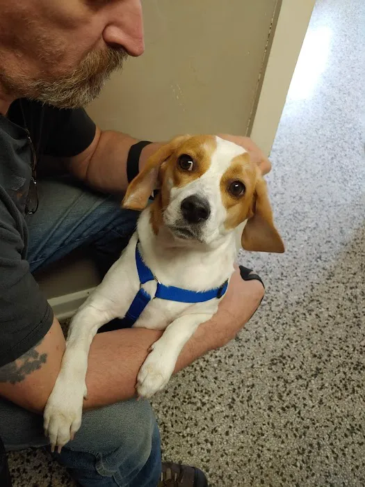 Blount Veterinary Clinic 5