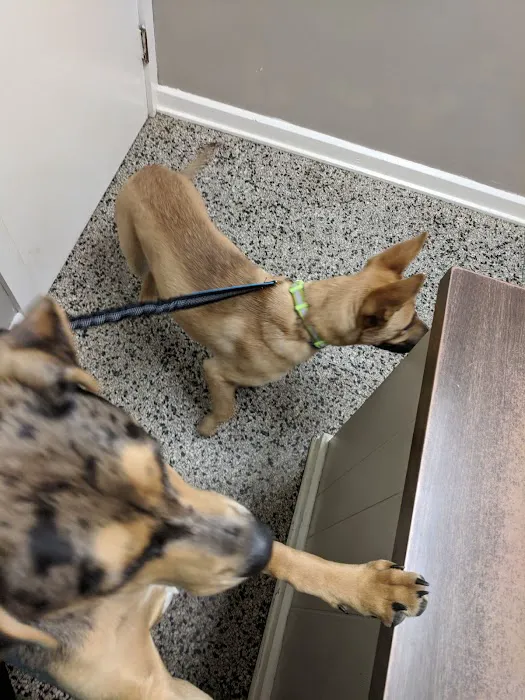 Blount Veterinary Clinic 4