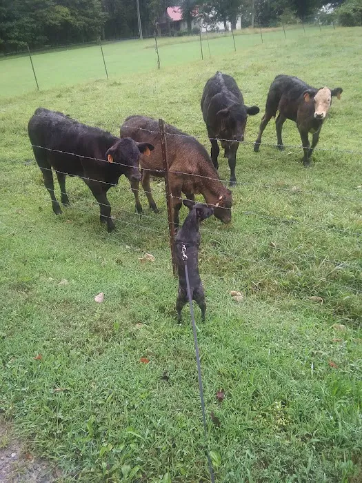 Countryside Veterinary Services 6