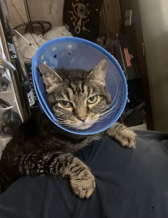 Countryside Veterinary Services 7