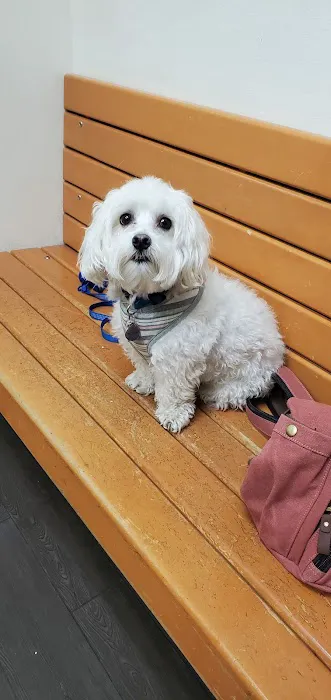 Banfield Pet Hospital 1