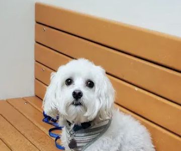 Banfield Pet Hospital