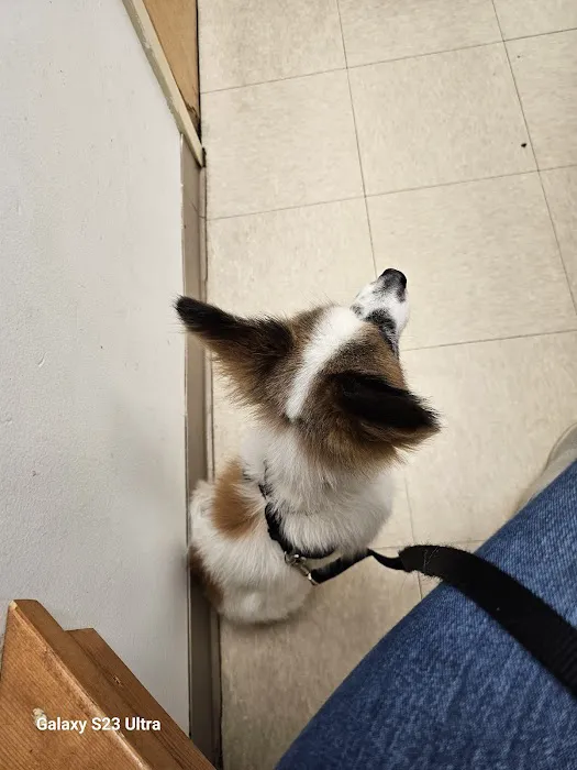 Banfield Pet Hospital 2
