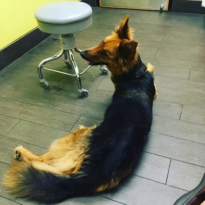 Banfield Pet Hospital 6