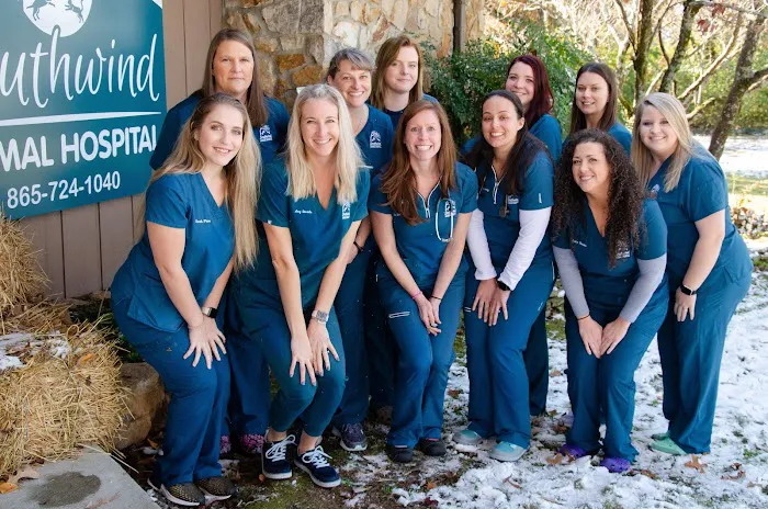 Southwind Animal Hospital 1