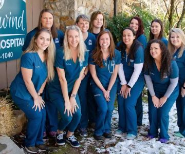 Southwind Animal Hospital