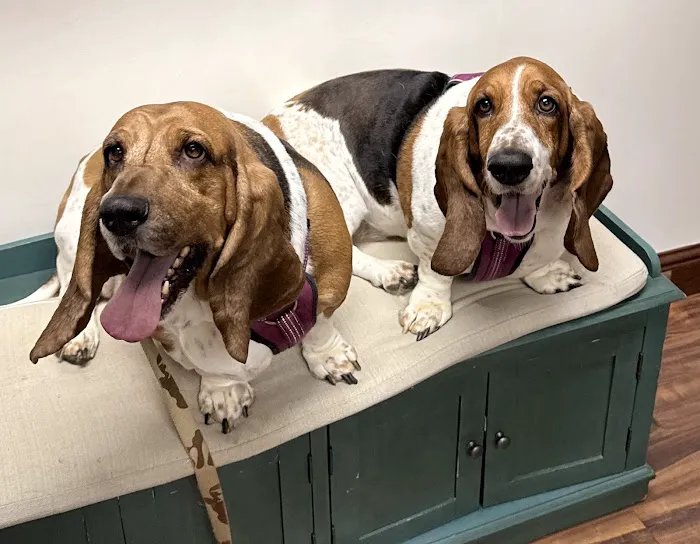 Southwind Animal Hospital 4