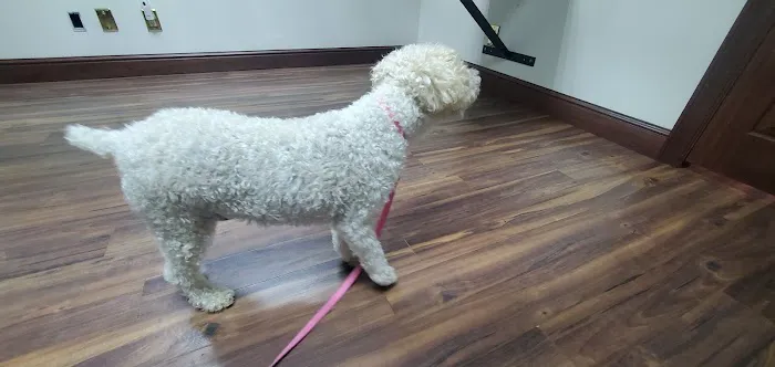 Southwind Animal Hospital 2