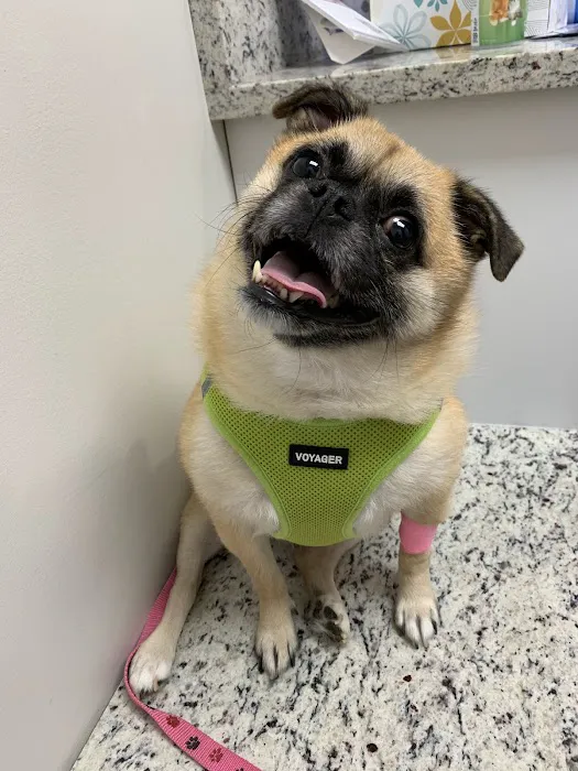 Southwind Animal Hospital 8