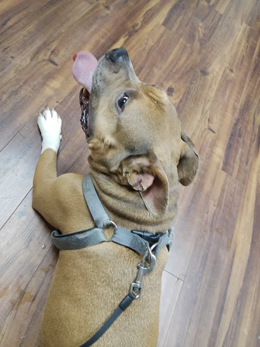 Southwind Animal Hospital 6